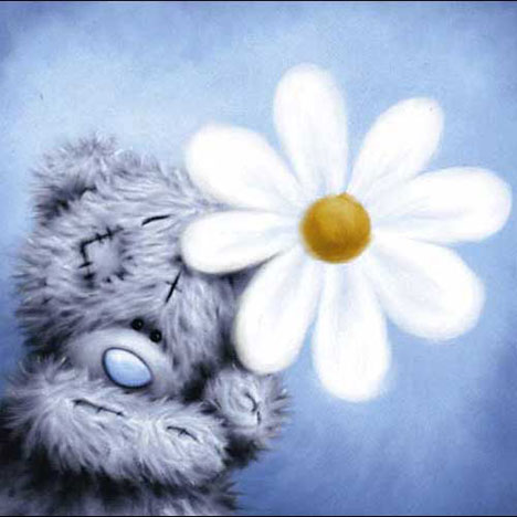 Get Well Me to You Bear Card £1.85